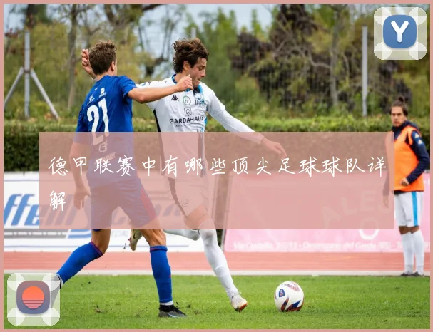 德甲联赛中有哪些顶尖足球球队详解