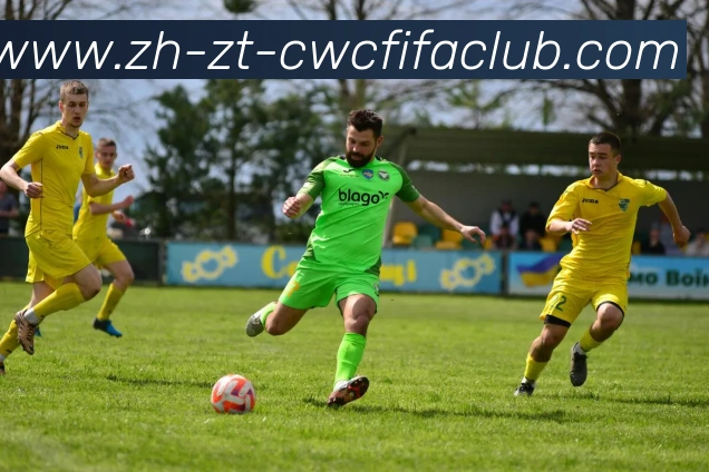 世界杯竞猜平台生态图